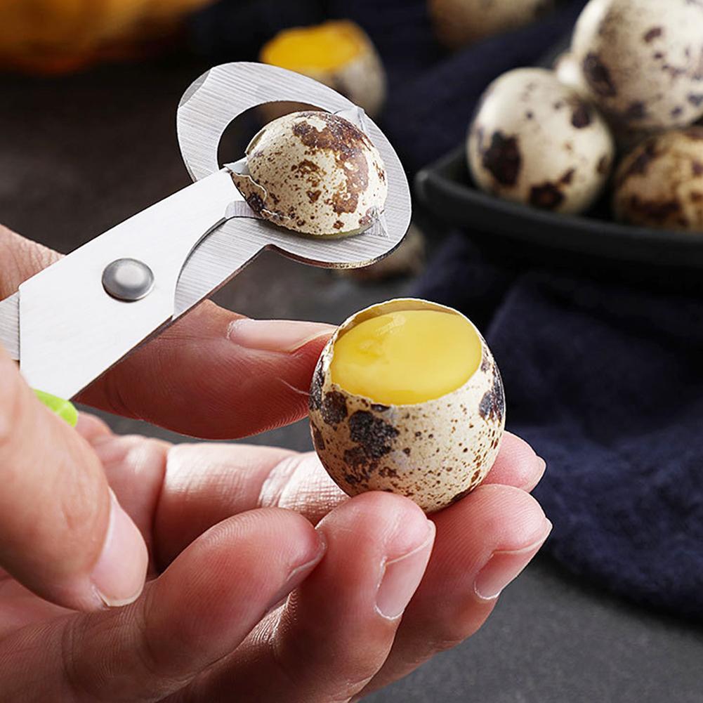 Obieraczka do jaj gołębi, prze – Egg Separator Tool recenzja i cena