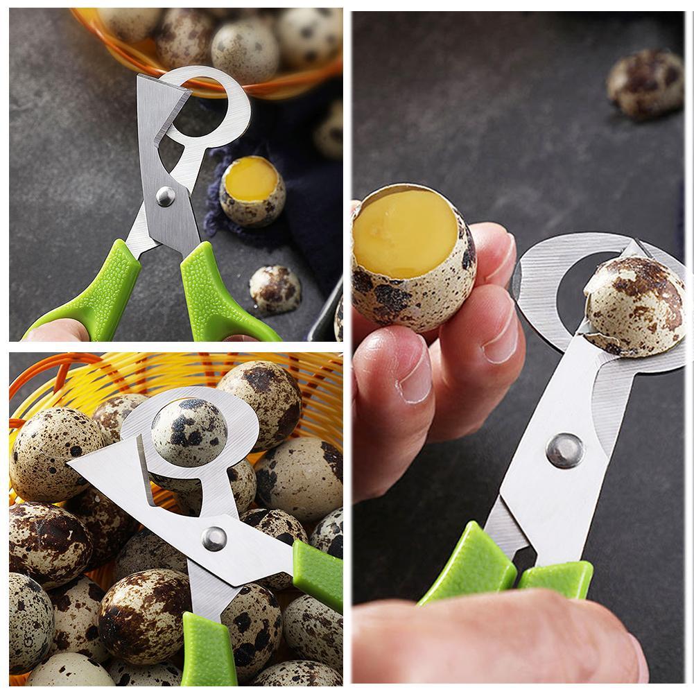 Obieraczka do jaj gołębi, prze – Egg Separator Tool recenzja i cena