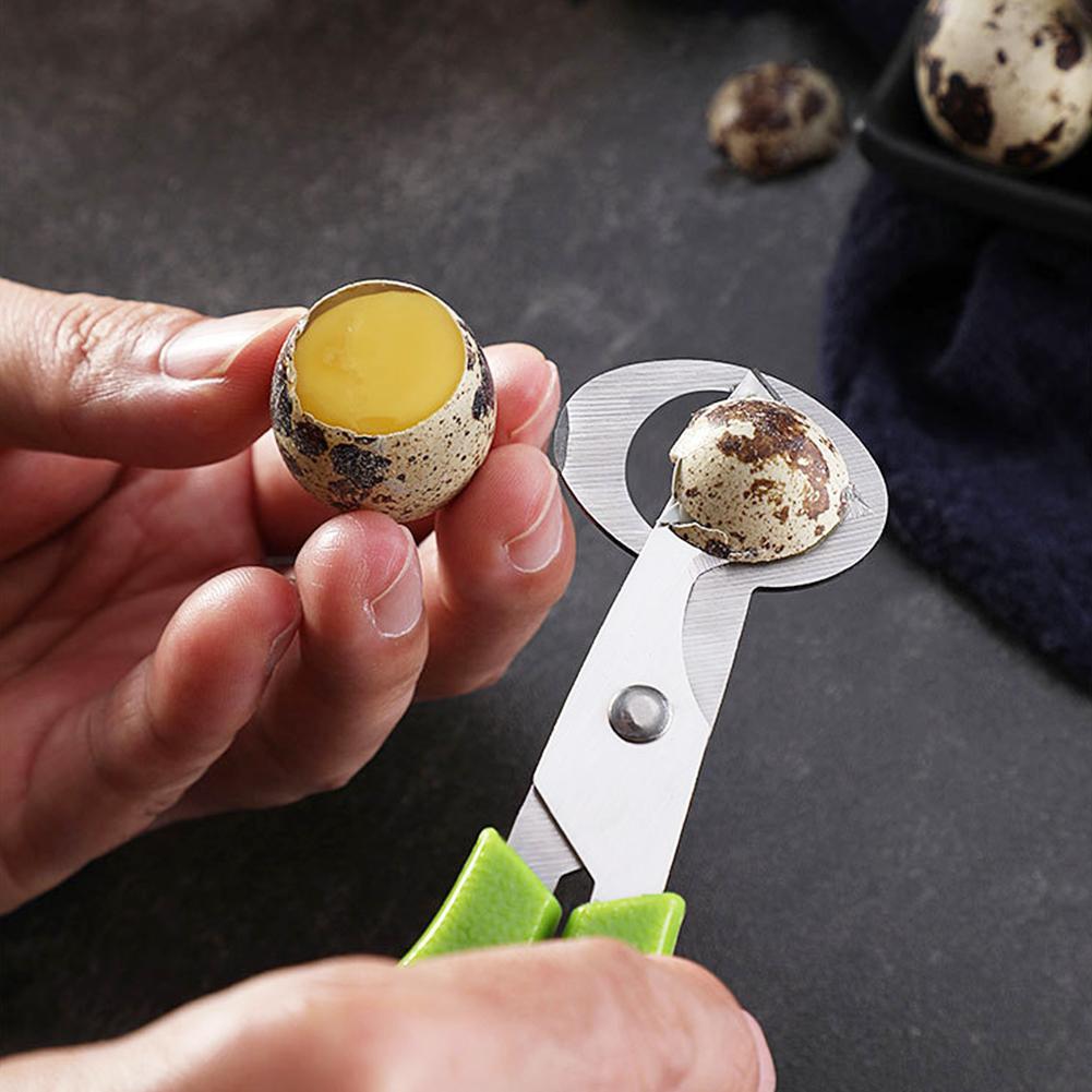 Obieraczka do jaj gołębi, prze – Egg Separator Tool recenzja i cena